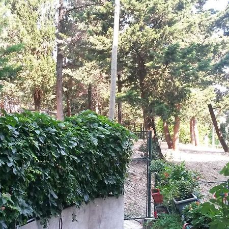 Anamarija Apartman Дубровник Екстериор снимка